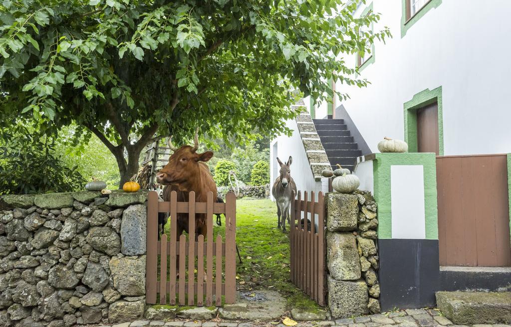 Hotel Quinta Do Martelo Angra do Heroísmo Exterior foto